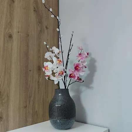 La Casa Di Rosy Lägenhet *